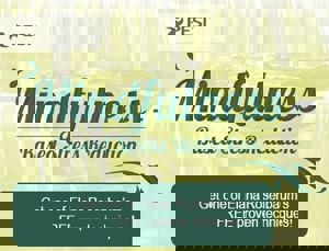 Blog Featured Image Thumbnail Mindfulness-Based Stress Reduction_text included_380 x 290 px_11202024